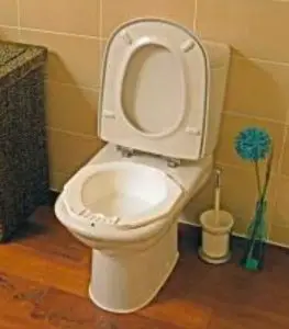 Portable Bidet toilet