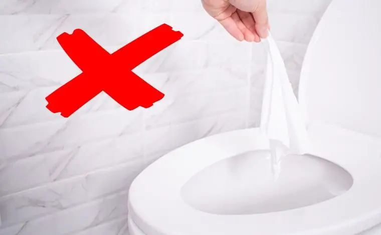 Please do not throw tissue paper in the toilet bowl