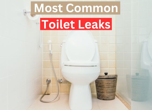 Most common toilet leaks