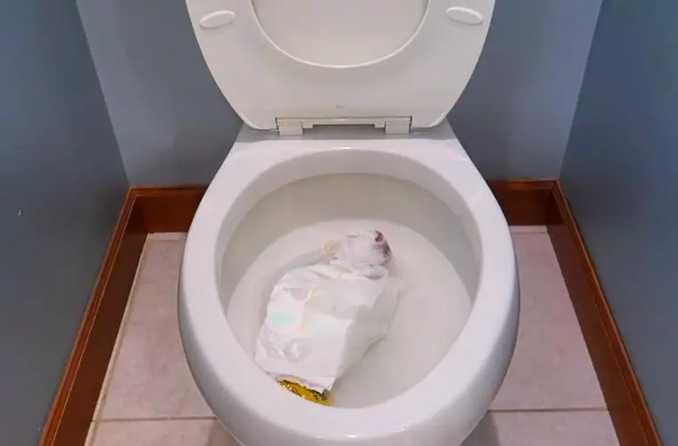 Don't Flush Diaper Wipes Down in the toilet