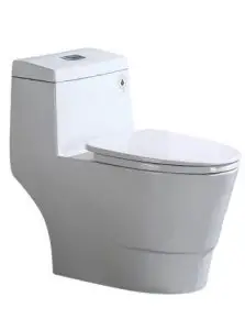 One-Piece Toilet