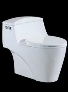 Porcelain toilet reviews