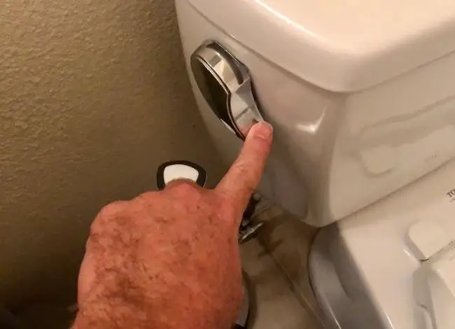 press the toilet handle