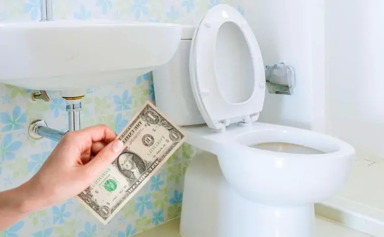 Are Upflush toilets worth it?