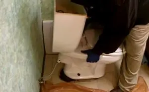 Remove-The-Toilet