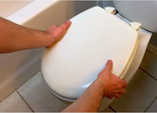 Removing a Toto toilet seat completely