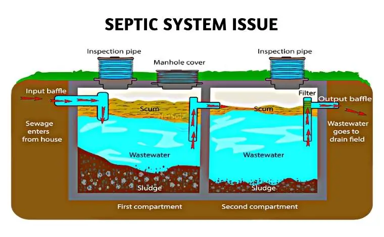  septic system failure signs