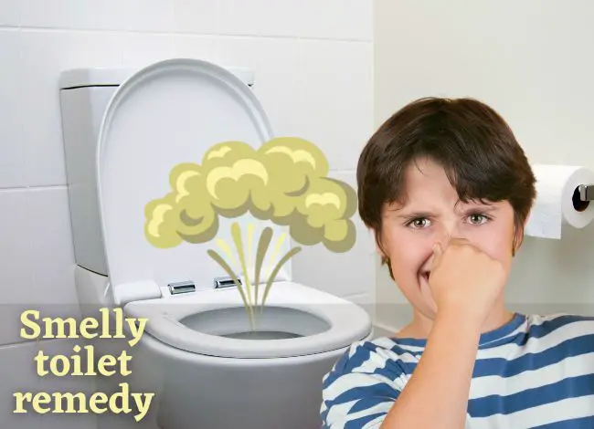 Why does my toilet smell bad