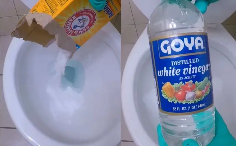 How to Clean a Toilet Bowl with Vinegar and Baking Soda