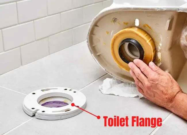 the Toilet Flange