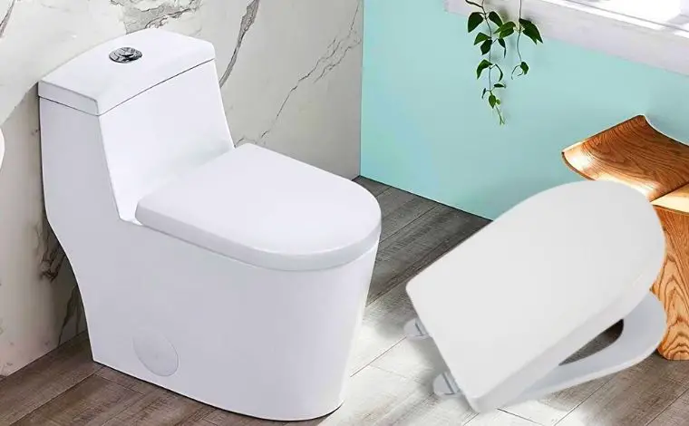What is D shape toilet?