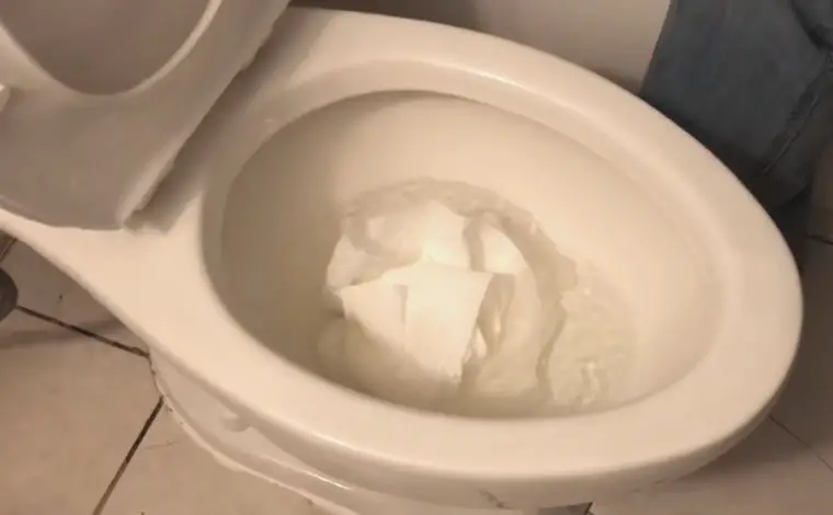  can toilet paper clog toilet