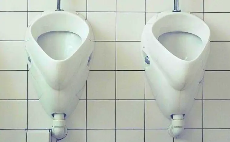 Urinal toilet