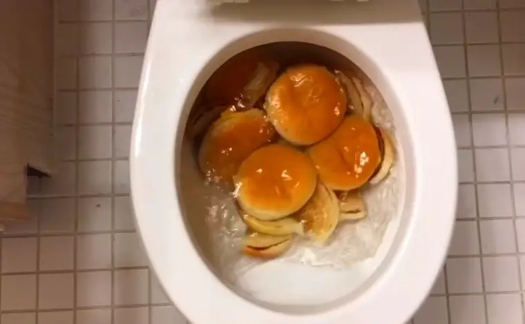 What can you eat to stop a toilet from clogging?