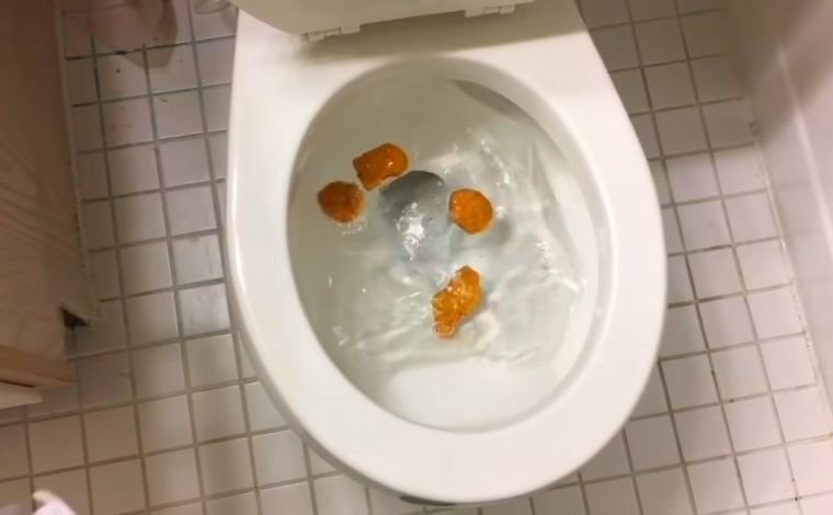 How Bad Is It to Put Food Scraps Down the Toilet