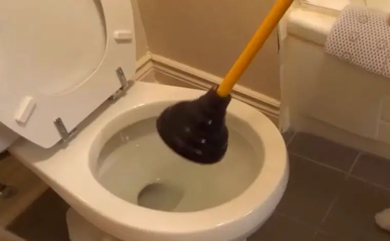 plungers for toilets
