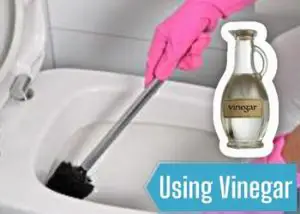 Using Vinegar To Clean The Toilet