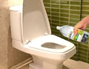 clean toilet seat with vinegar