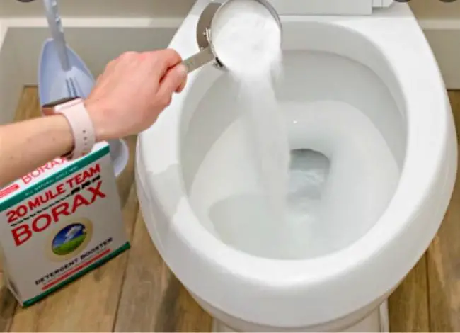 Using the borax for cleaning toilets