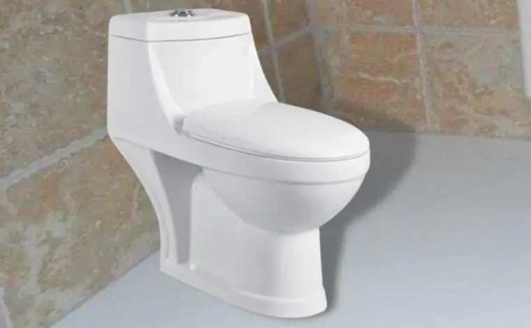 vitreous china toilet seat