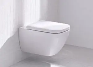 Wall-mounted toilets