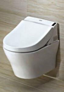 Wall Mounted Toilets