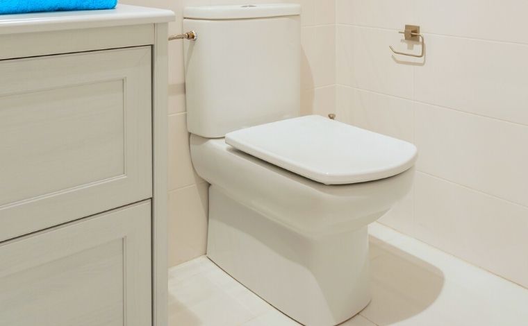 Ceramic toilet review