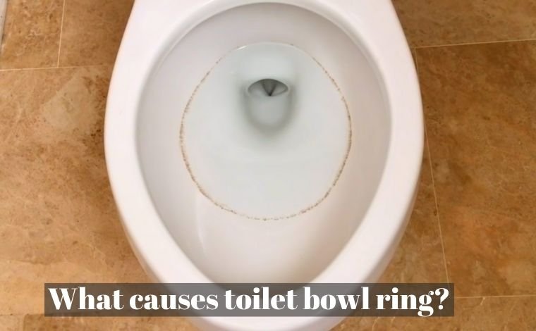 What causes the toilet bowl ring? (Yellow, Black, Red, & Pink Rings)