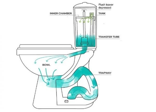 Exposed Trapway Toilets: All The Pros and Cons