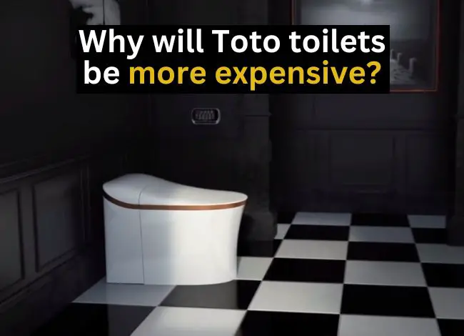 Why are Toto toilets so expensive