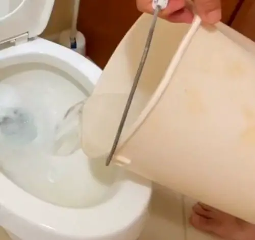 toilet alternatives flushing
