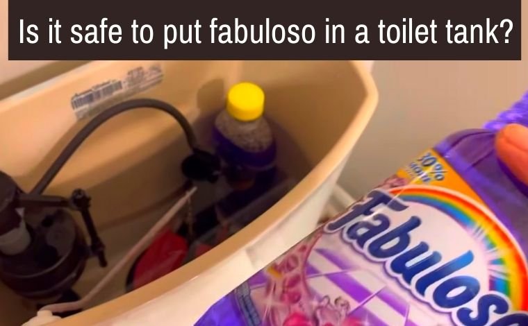 fabuloso in toilet