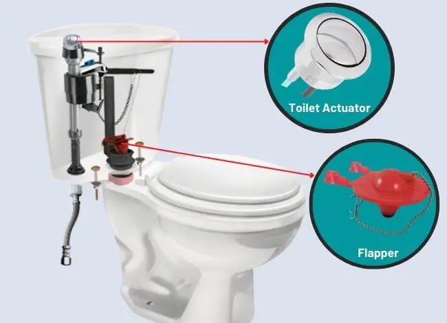 flapper vs toilet Actuator