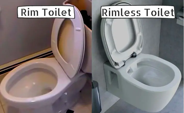 rimless and rimmed toilets