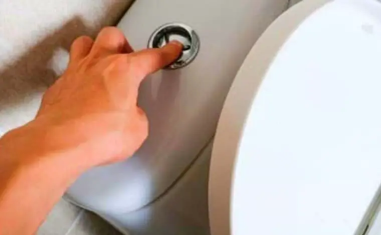 toilet push button flush