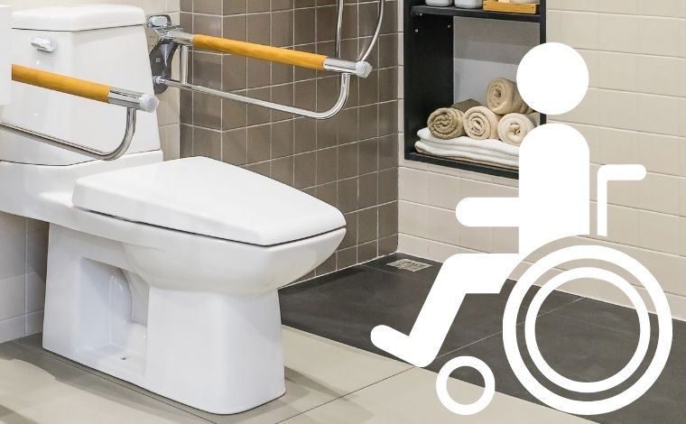 handicap toilet seat with handles