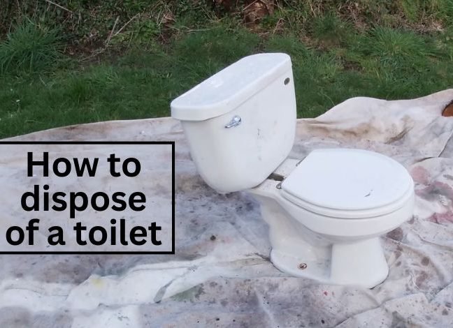 Extraordinary How To Dispose Of Old Toilet Photos