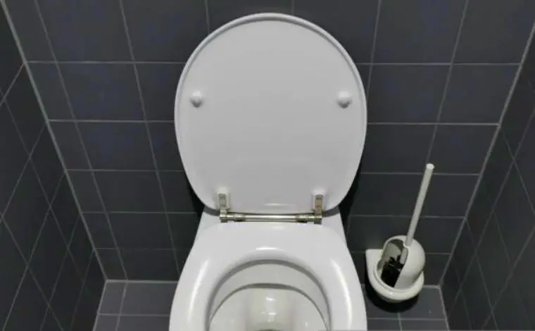 How to Clean Toilet Seat Hinges