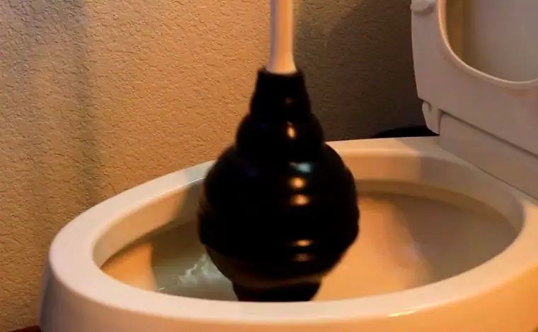 beehive plunger