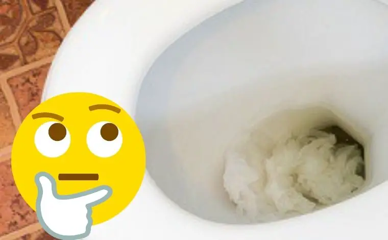 how to fix a toilet that keeps clogging up