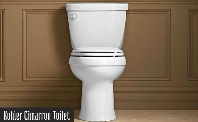cimarron kohler toilet review