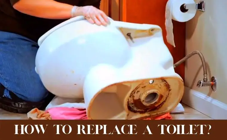 what to know when replacing a toilet