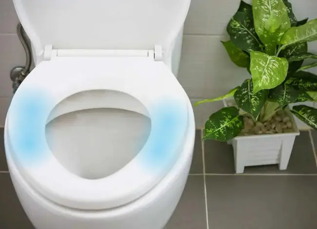possible methods of removing Harpic stains from the toilet seat