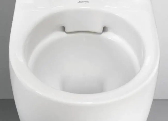 rimless toilet bowls