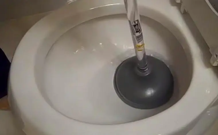 how to use a plunger with poop in the toilet